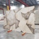 Patagonia Quartzite Suppliers in India